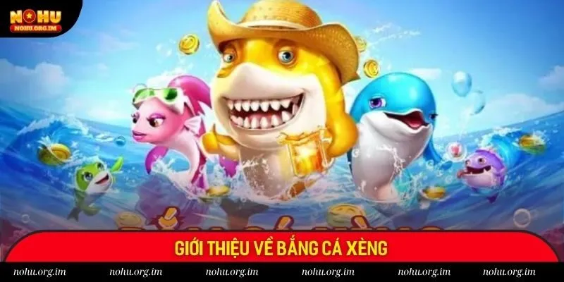 Giới thiệu sơ bộ về bắn cá xèng Nohu