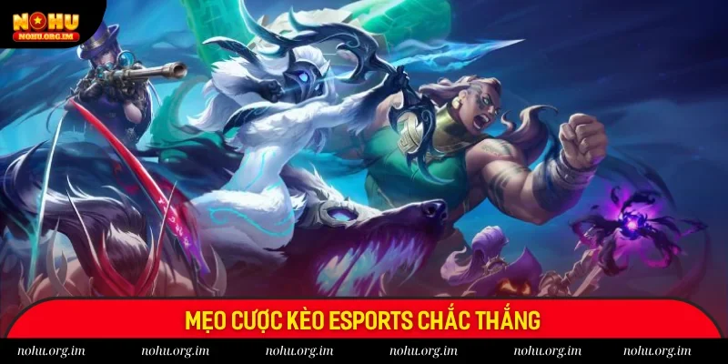 Một số mẹo cược chắc thắng