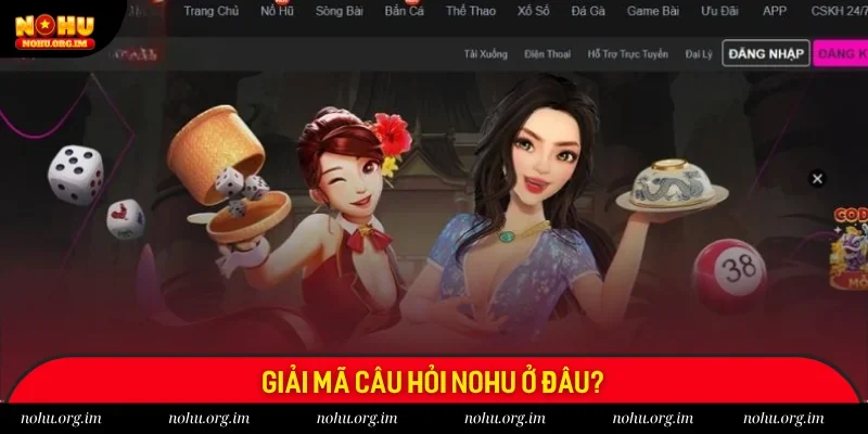 Bật mí thông tin Nohu ở đâu?