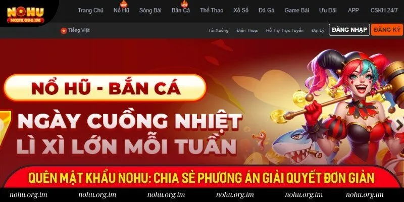 Quên Mật Khẩu Nohu: Chia Sẻ Phương Án Giải Quyết Đơn Giản