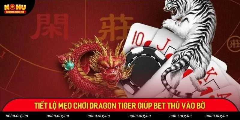 Tiết lộ mẹo chơi Dragon Tiger giúp bet thủ vào bờ